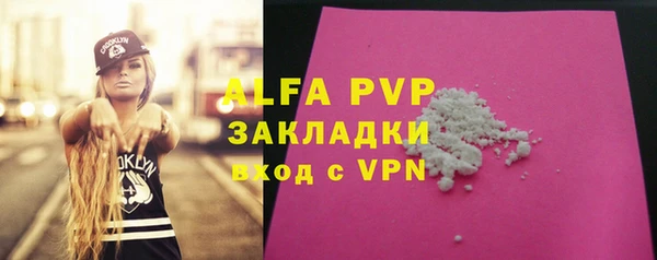 прущие грибы Богородицк