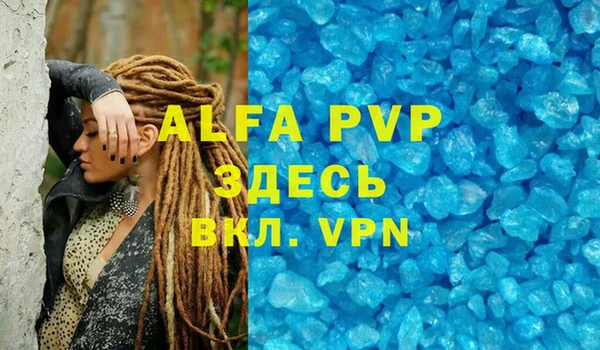 прущие грибы Богородицк