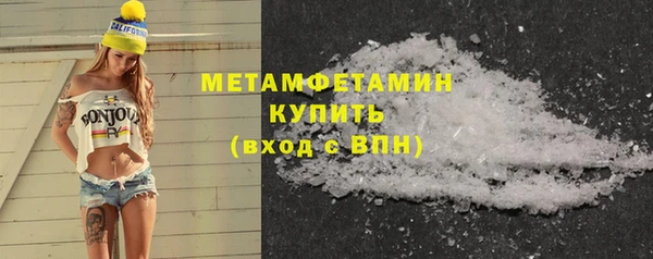 прущие грибы Богородицк
