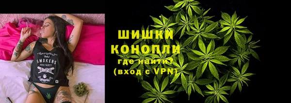 прущие грибы Богородицк