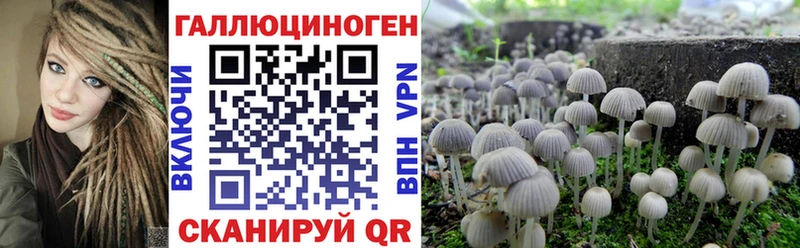 Псилоцибиновые грибы MAGIC MUSHROOMS  наркотики  Железногорск-Илимский 